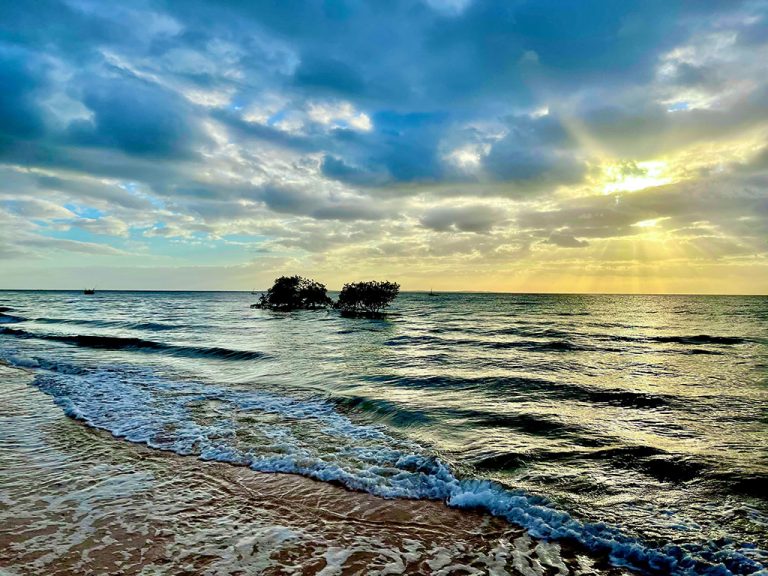 Taking You Places - Mozambique Island Tour 2022